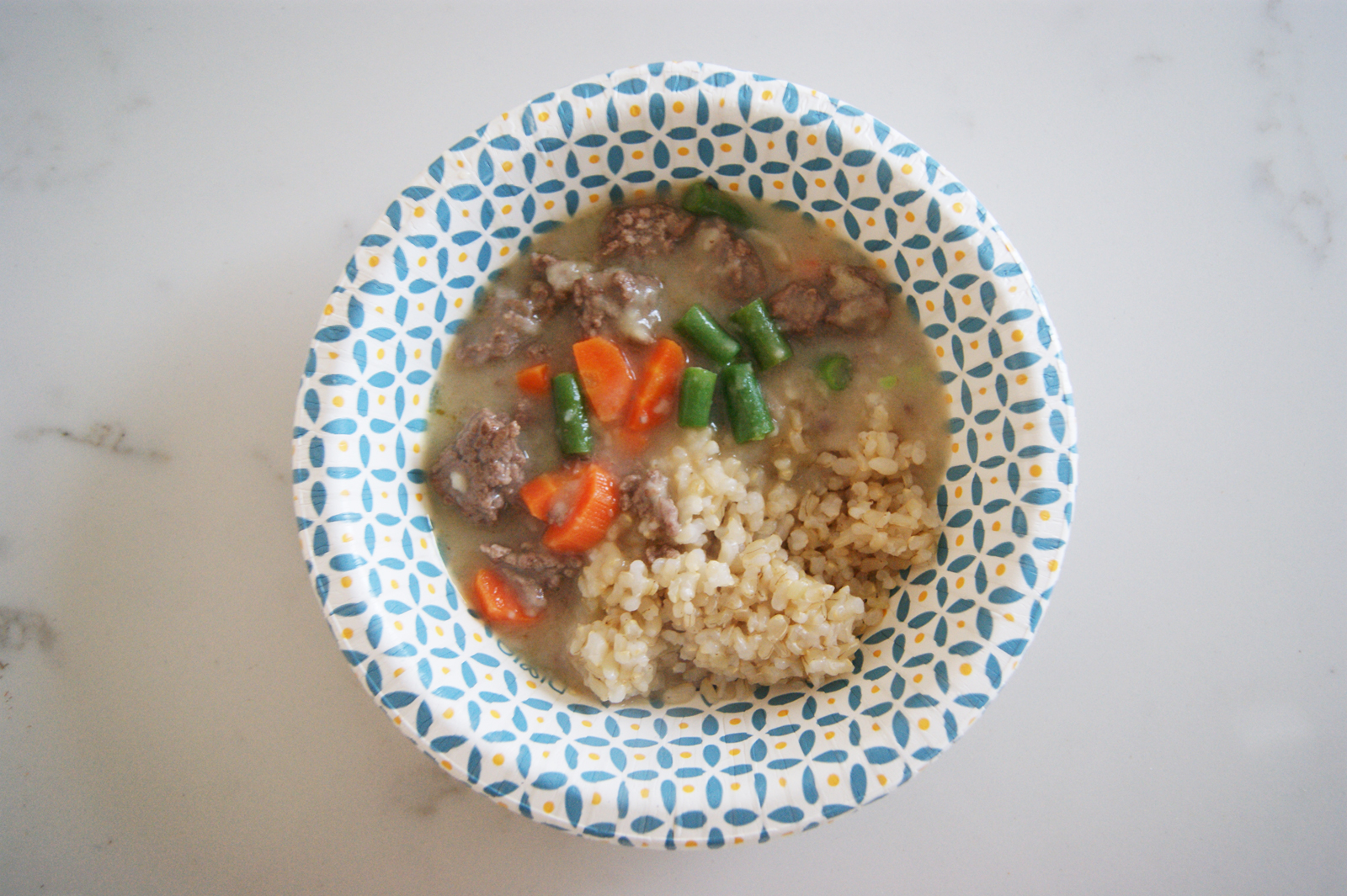 Dog Friendly Beef Stew Lady of the Ladle