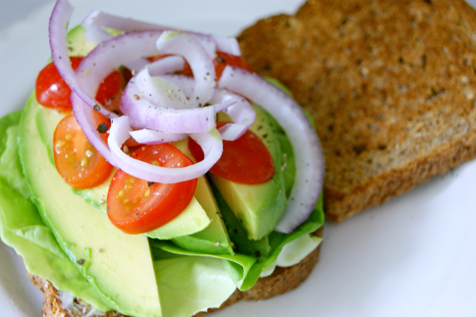 Healthy Vegetable Sandwich – Lady of the Ladle
