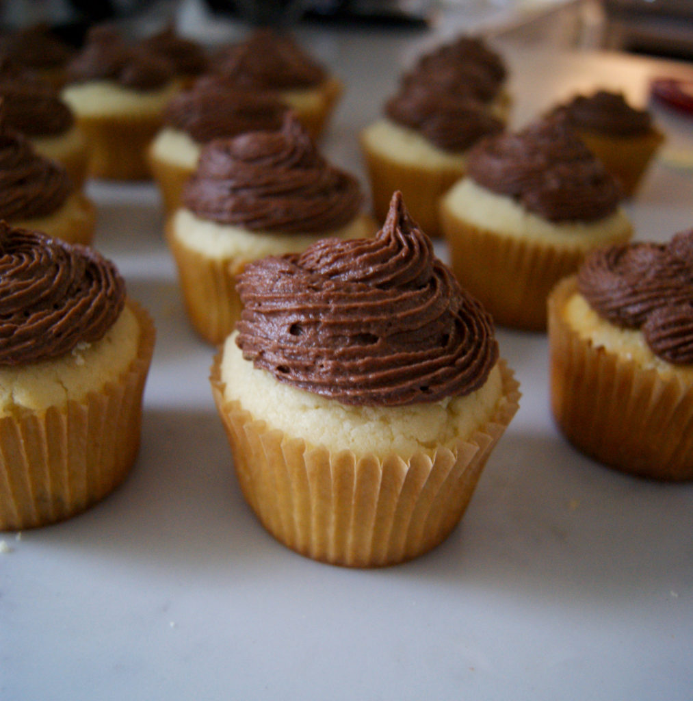 Boston Cream Cupcakes