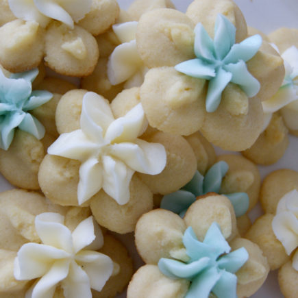 Spritz Cookies Recipe – Lady of the Ladle