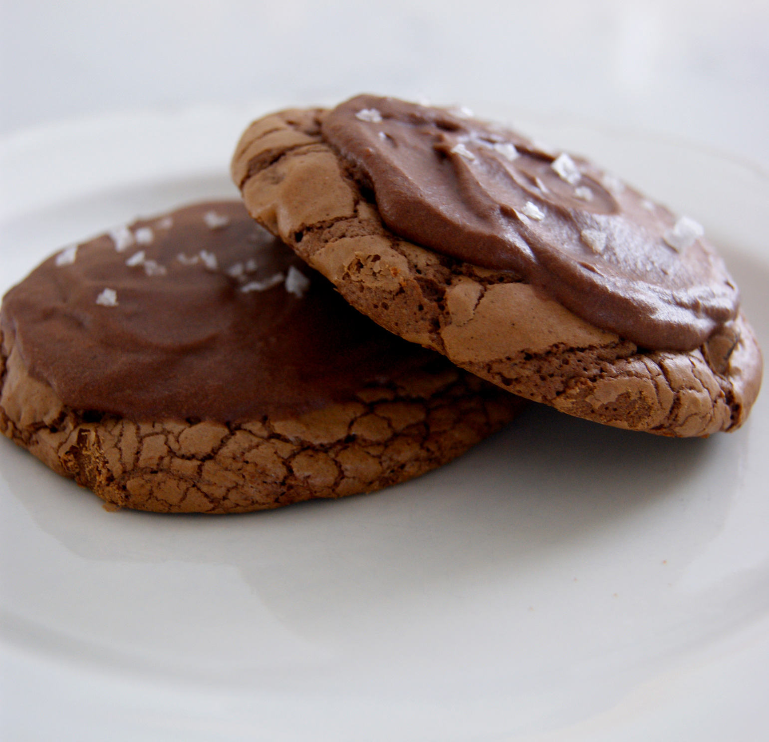 Delicious Frosted Brownie Cookies – Lady of the Ladle
