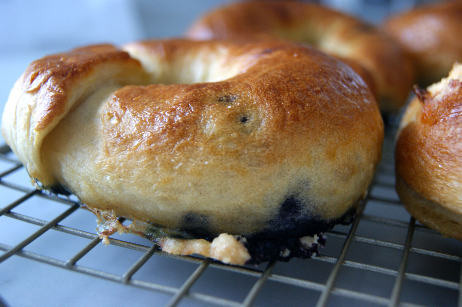 overnight-bagels-3-ways-2-schmears-lady-of-the-ladle